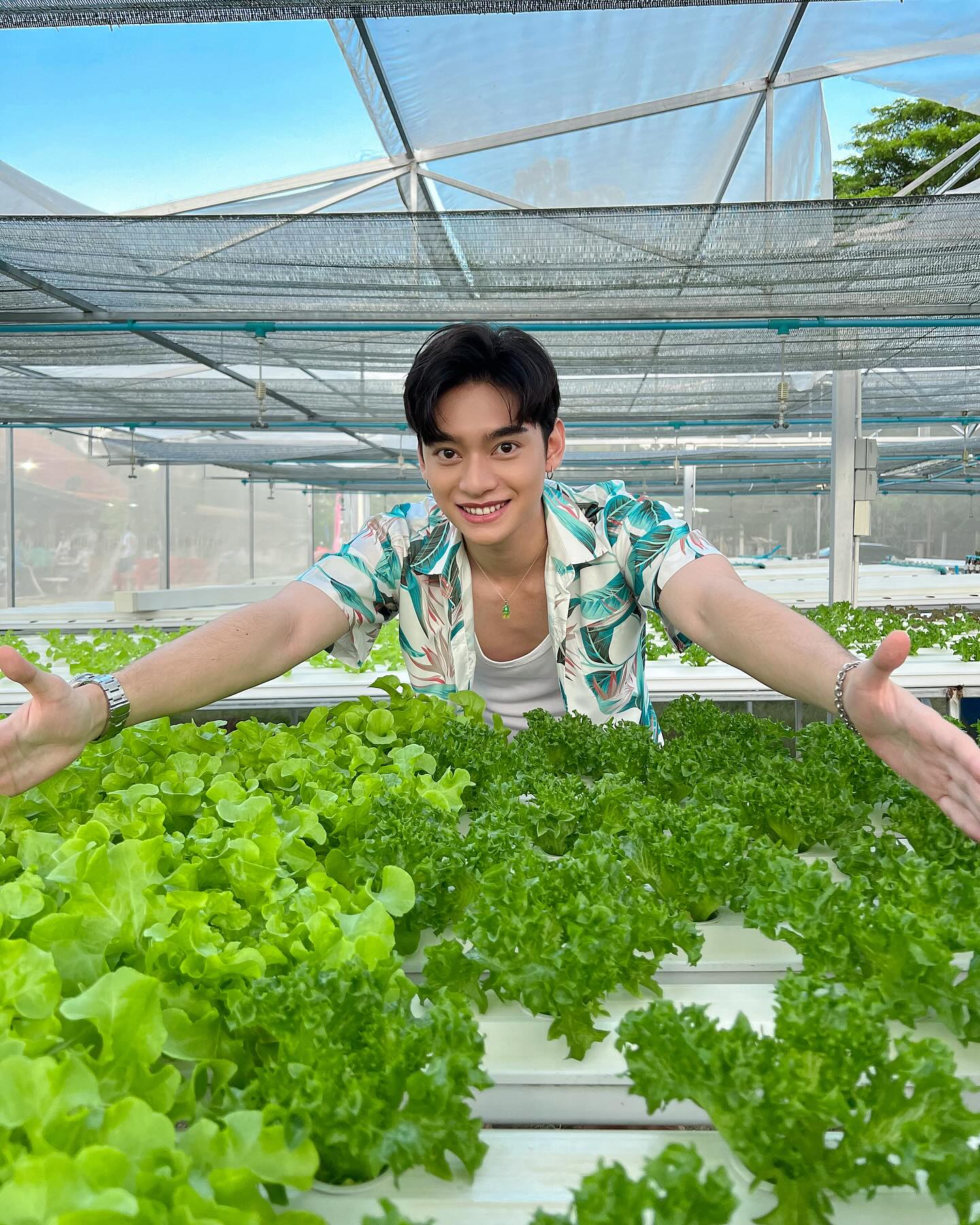 ก้าวหน้า - กิตติภัทร แก้วเจริญ