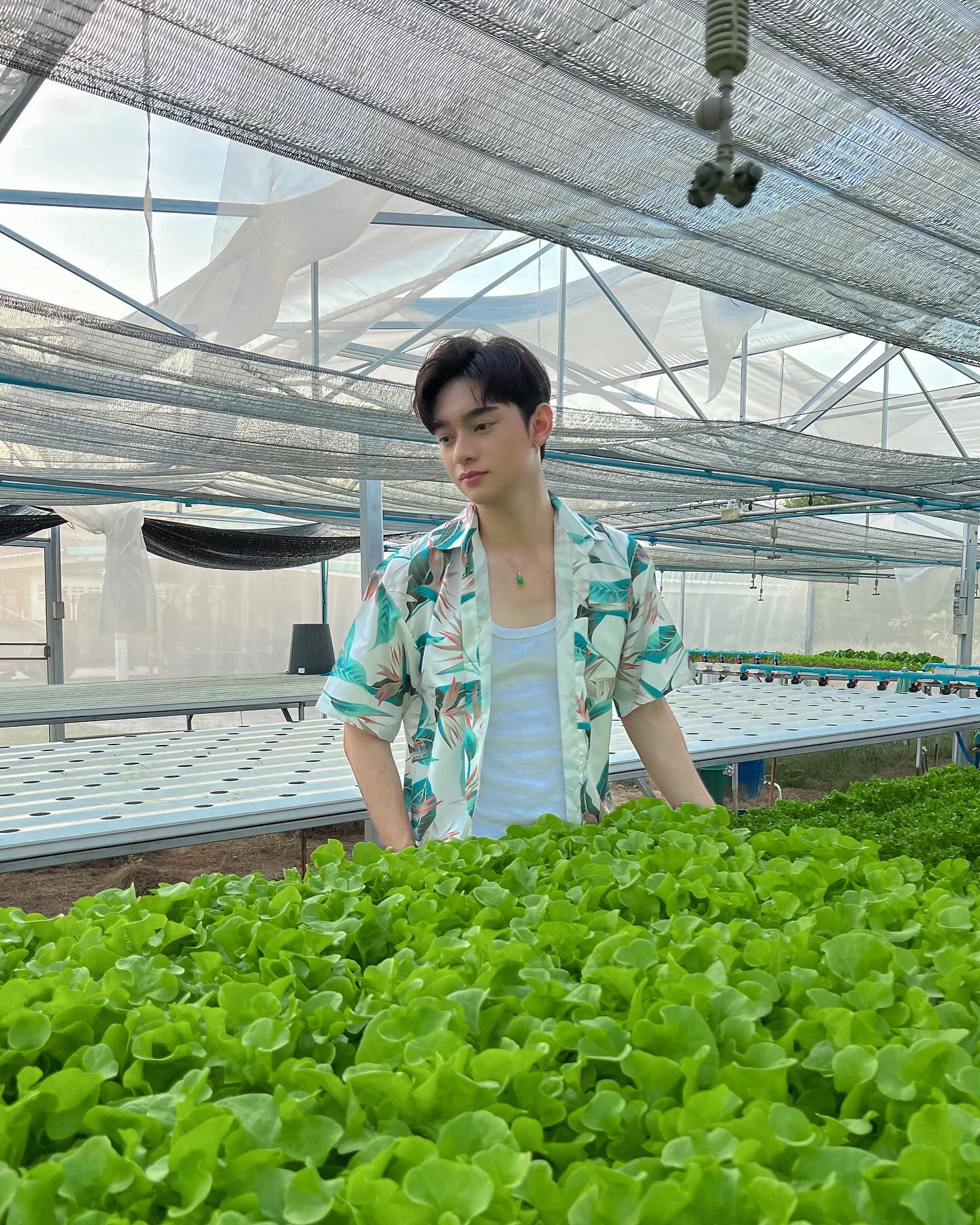 ก้าวหน้า - กิตติภัทร แก้วเจริญ