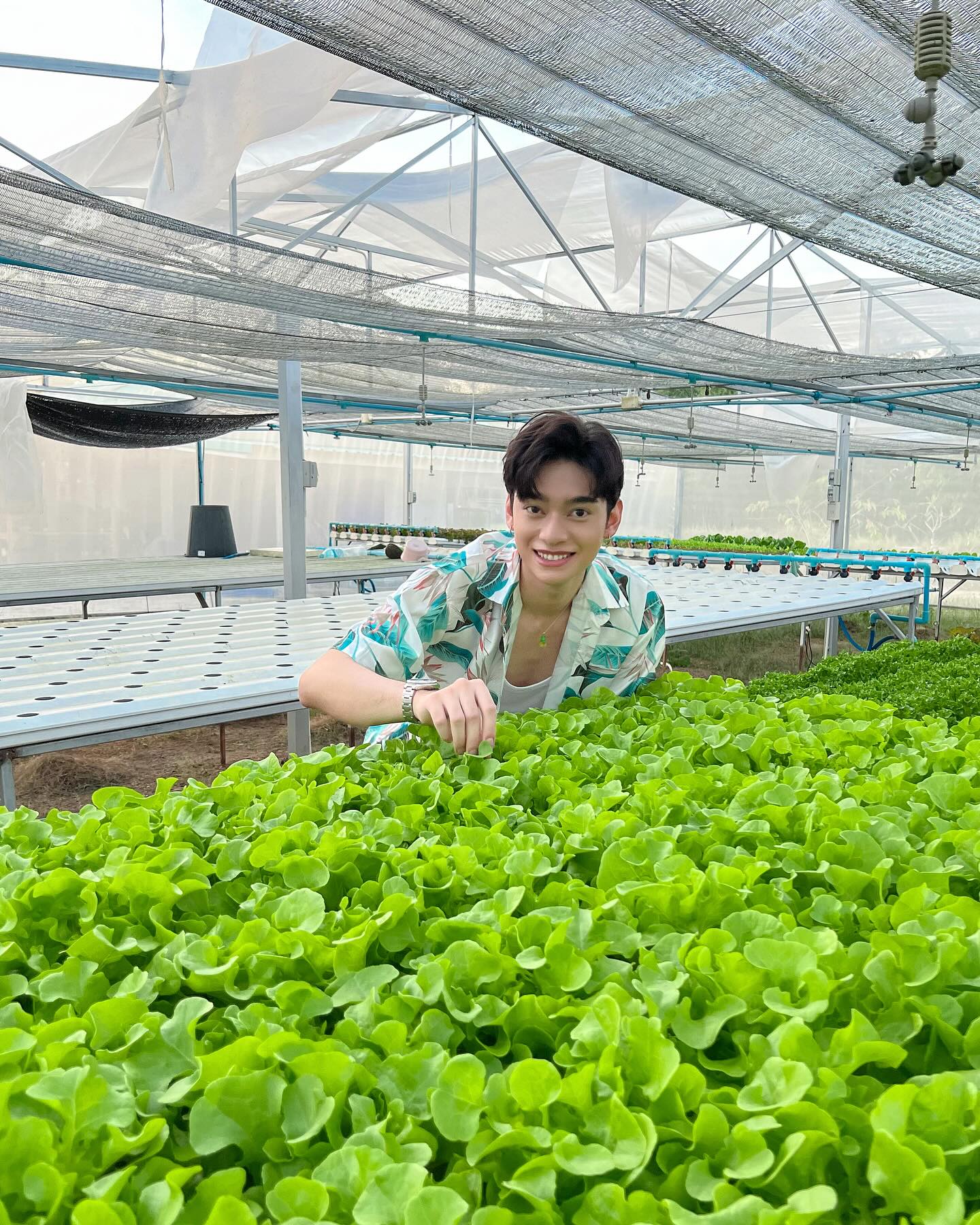 ก้าวหน้า - กิตติภัทร แก้วเจริญ