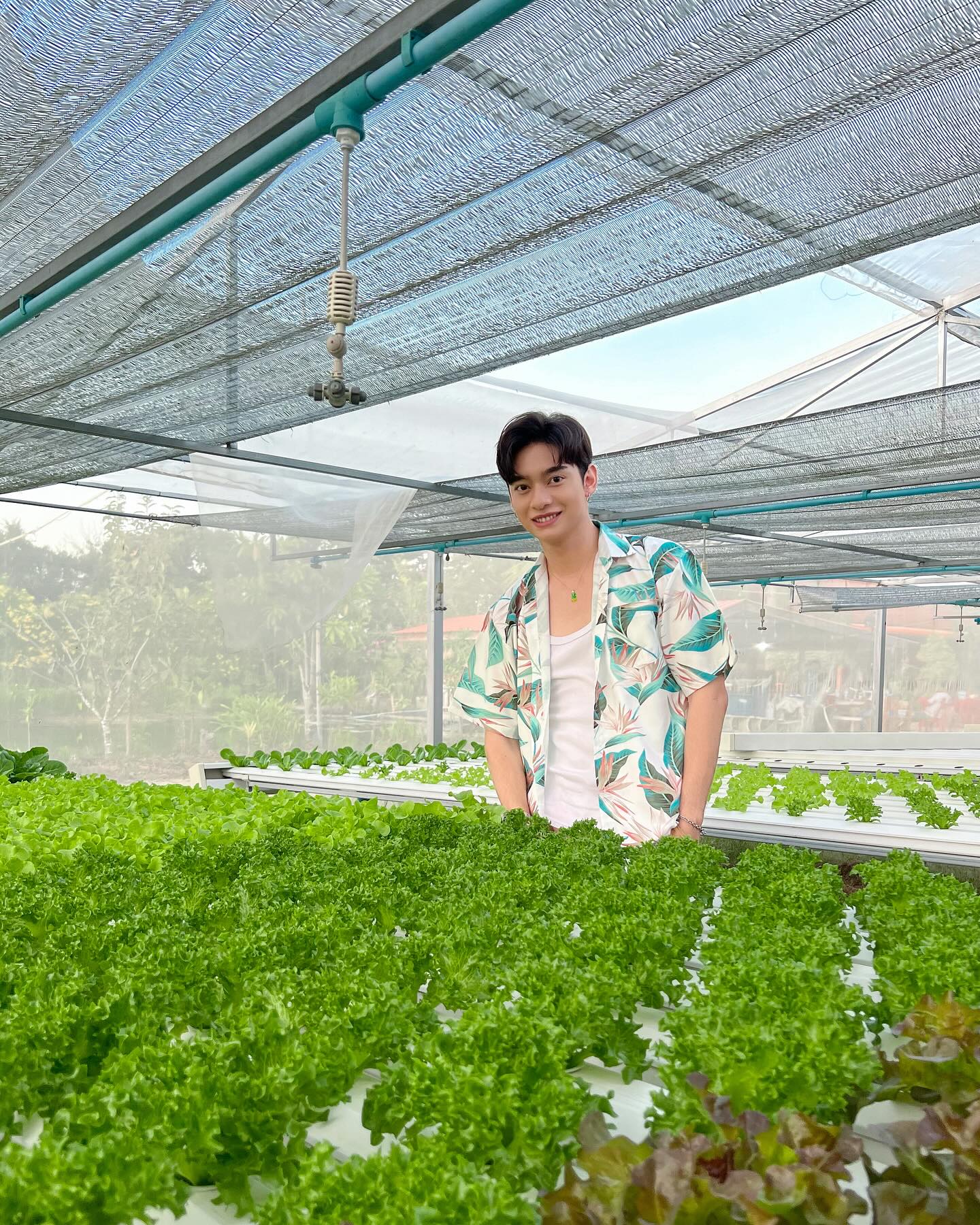 ก้าวหน้า - กิตติภัทร แก้วเจริญ