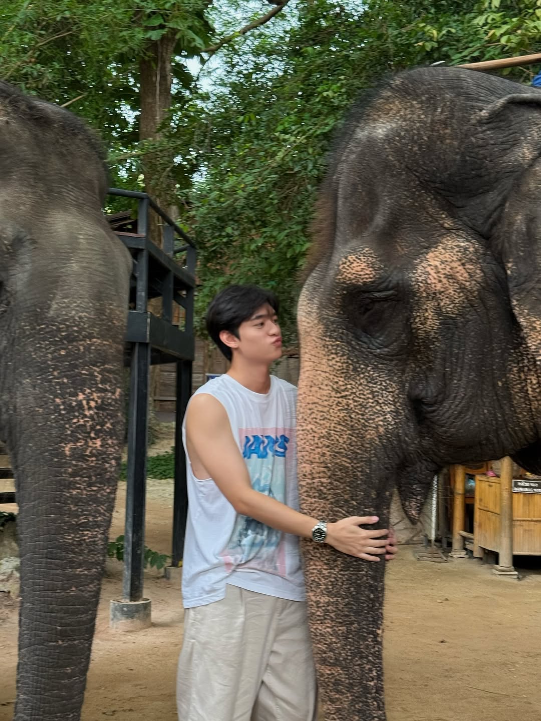 ก้าวหน้า - กิตติภัทร แก้วเจริญ