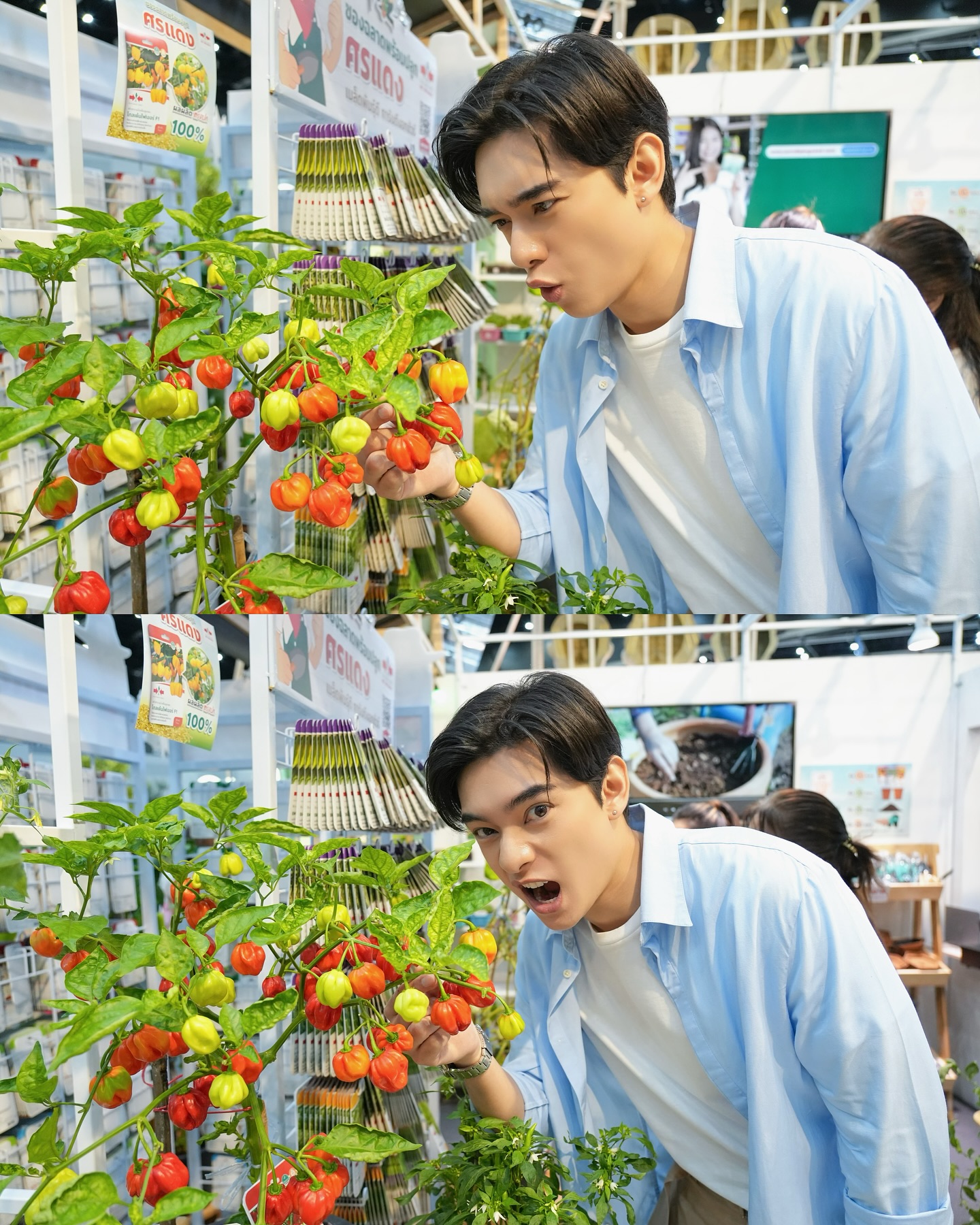 ก้าวหน้า - กิตติภัทร แก้วเจริญ