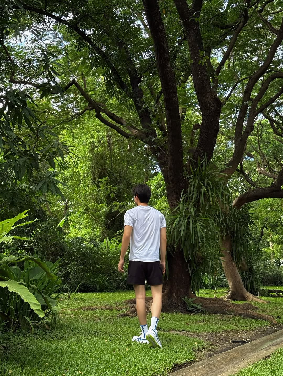 ก้าวหน้า - กิตติภัทร แก้วเจริญ