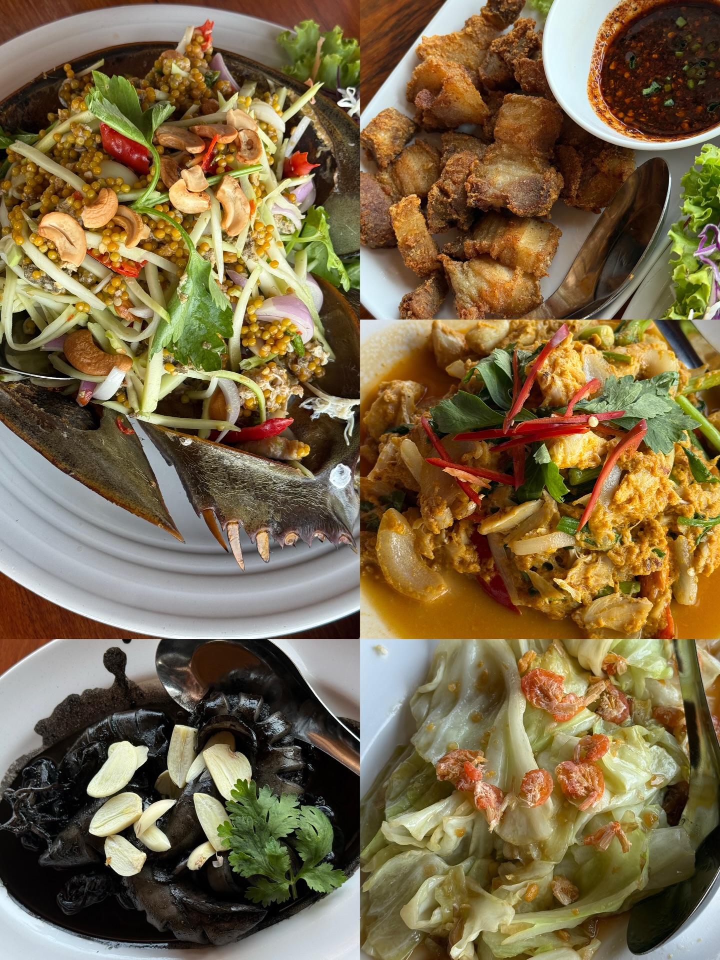 ก้าวหน้า - กิตติภัทร แก้วเจริญ