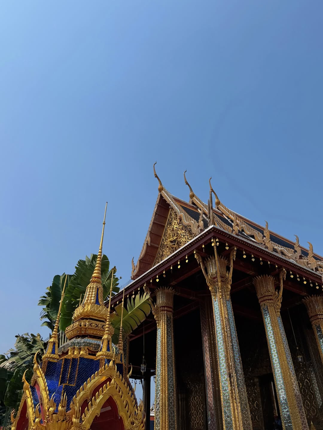 ก้าวหน้า - กิตติภัทร แก้วเจริญ