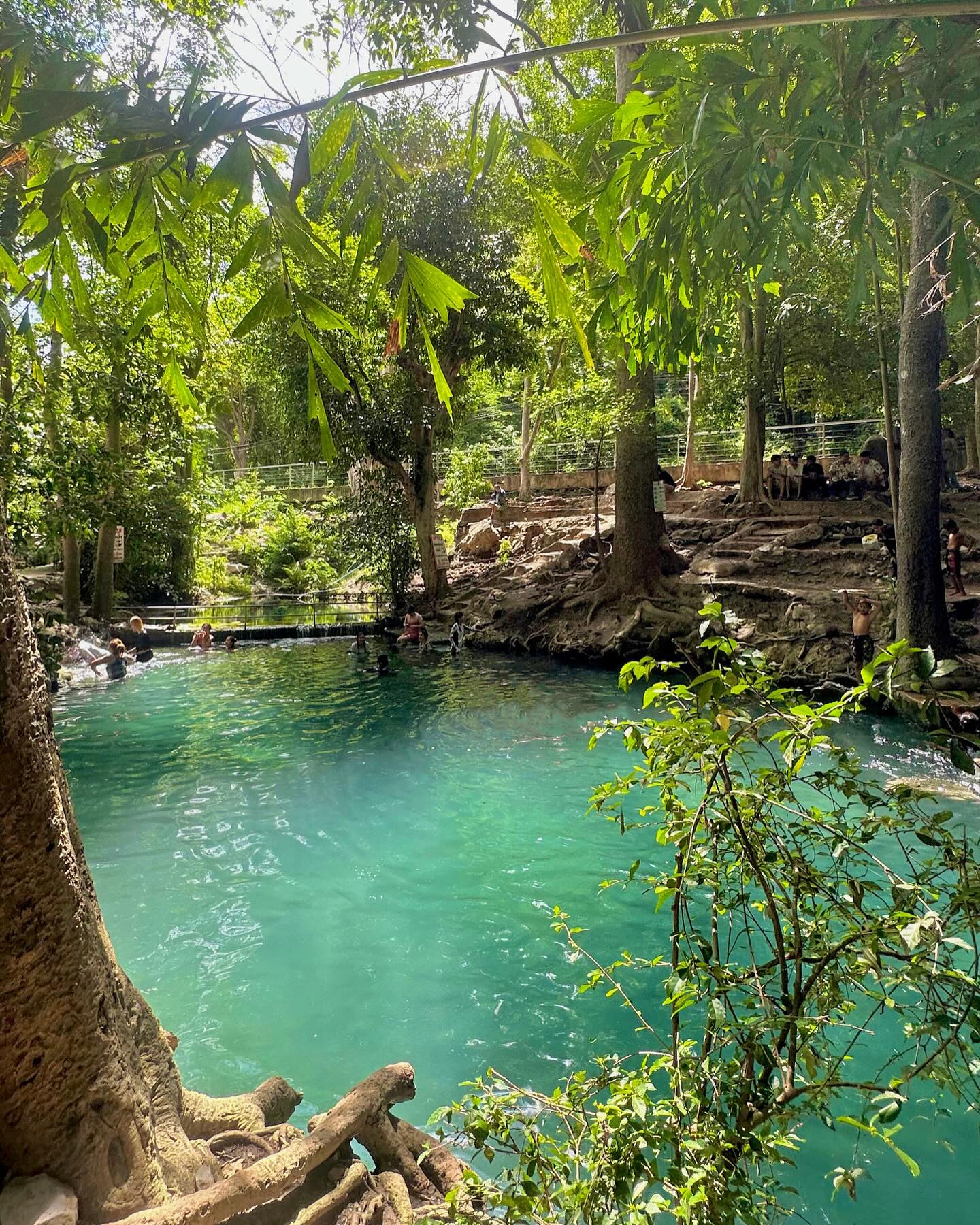 พลอยชมพู - ญานนีน ภารวี ไวเกล