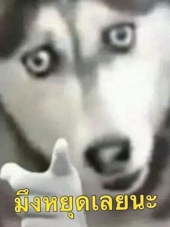 พลอยชมพู - ญานนีน ภารวี ไวเกล
