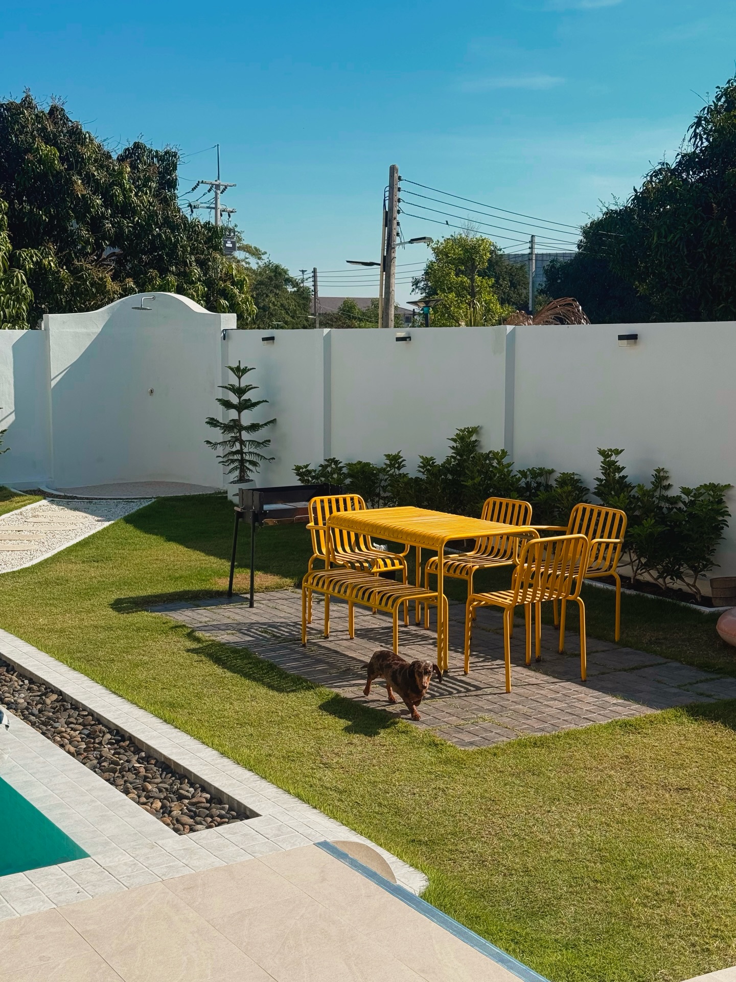 พลอยชมพู - ญานนีน ภารวี ไวเกล