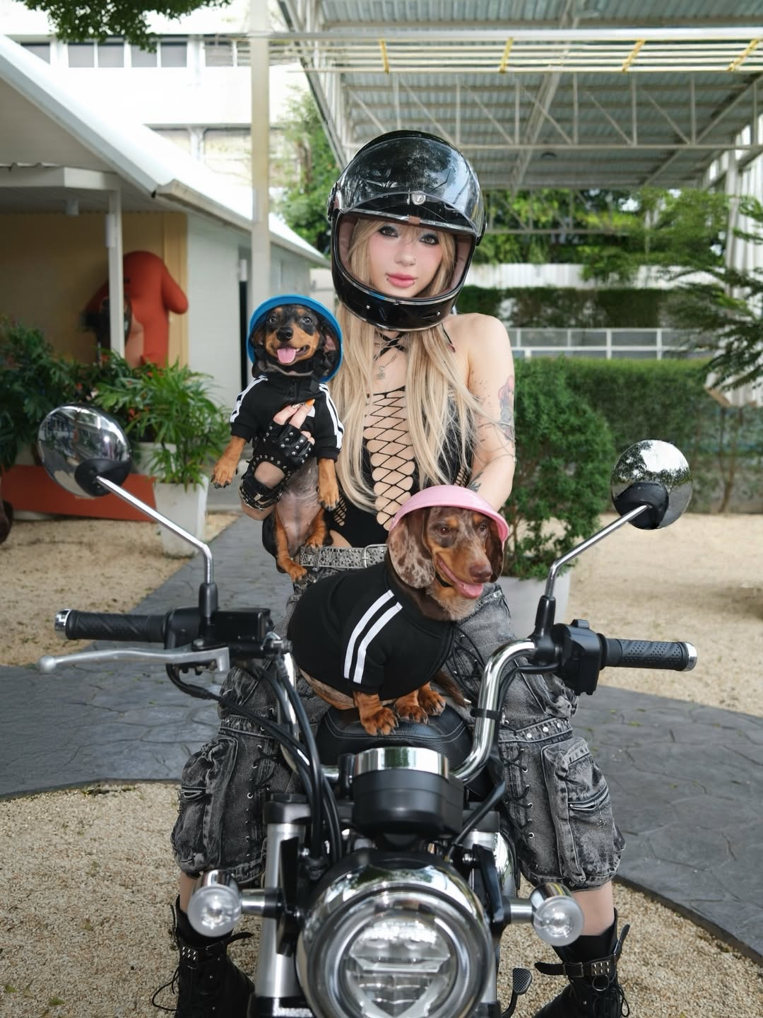 พลอยชมพู - ญานนีน ภารวี ไวเกล