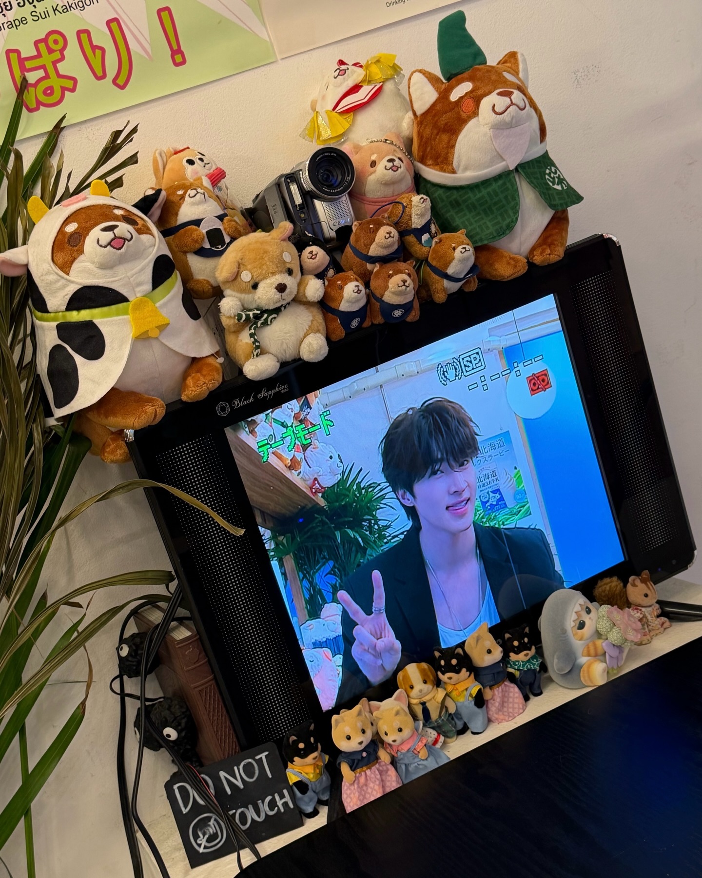 บลู - พงศ์ทิวัตถ์ ตั้งวันเจริญ