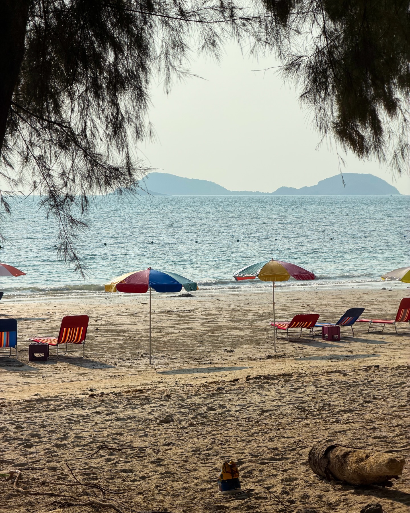 บลู - พงศ์ทิวัตถ์ ตั้งวันเจริญ