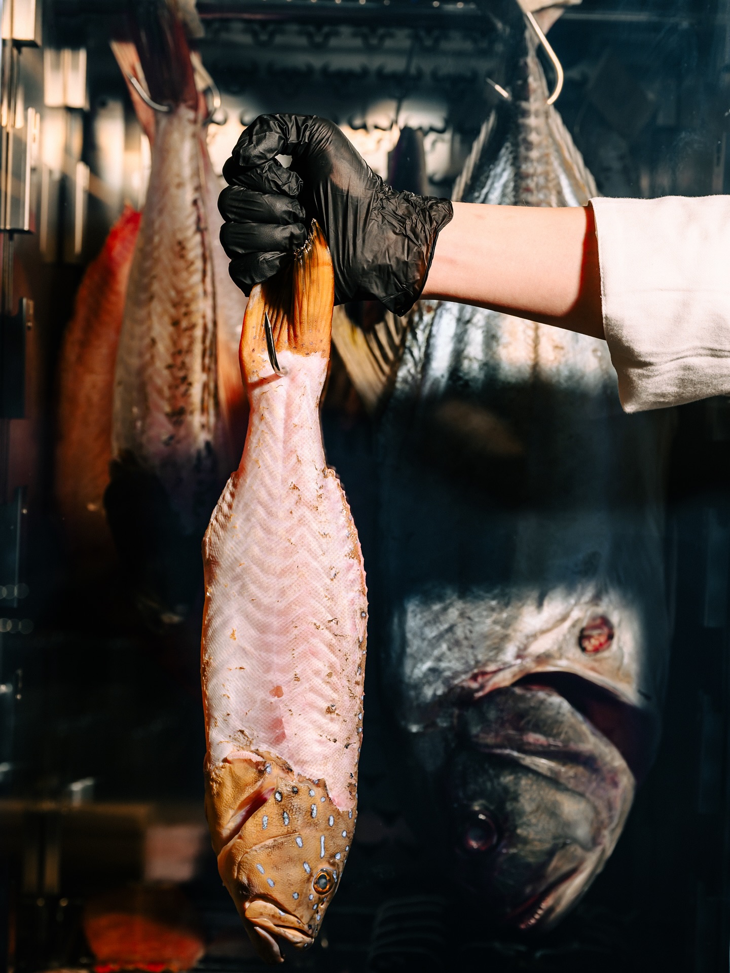 เจมส์ - ธีรดนย์ ศุภพันธุ์ภิญโญ