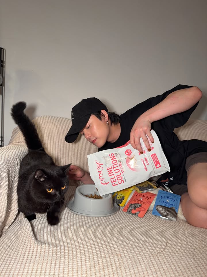 เจมส์ - ธีรดนย์ ศุภพันธุ์ภิญโญ