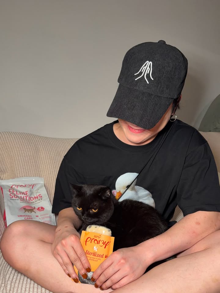 เจมส์ - ธีรดนย์ ศุภพันธุ์ภิญโญ