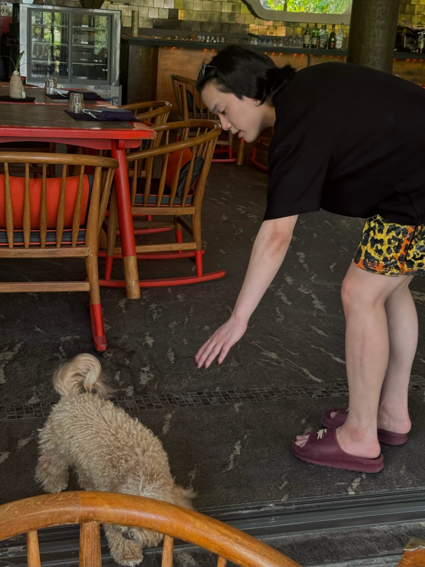 เจมส์ - ธีรดนย์ ศุภพันธุ์ภิญโญ