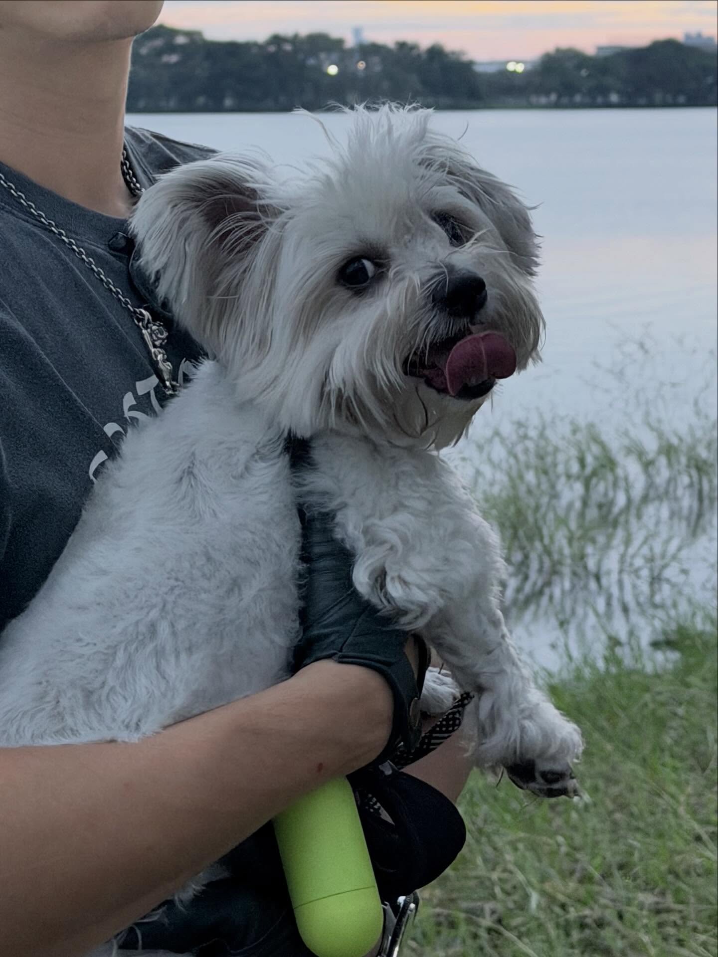 โอ้ - มาริโอ้ เมาเร่อ