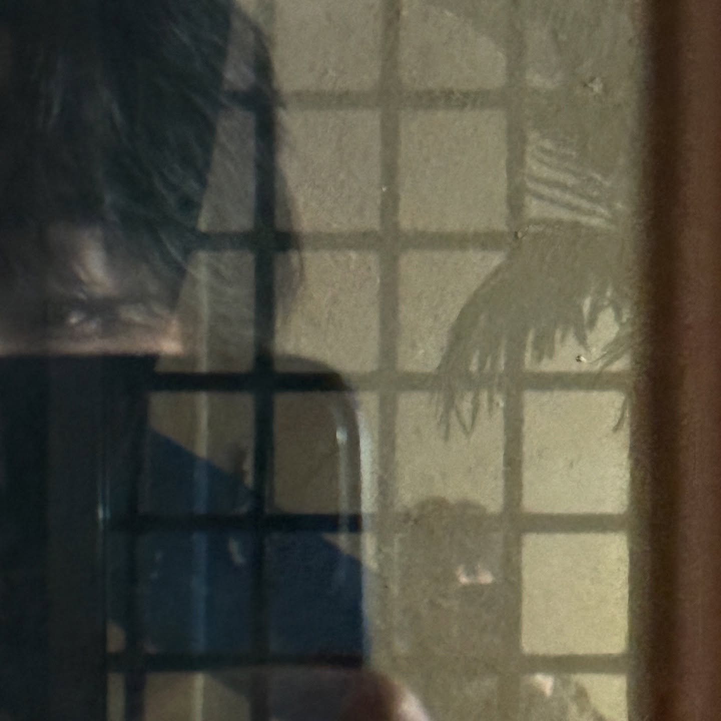 ริว - วชิรวิชญ์ อรัญธนวงศ์