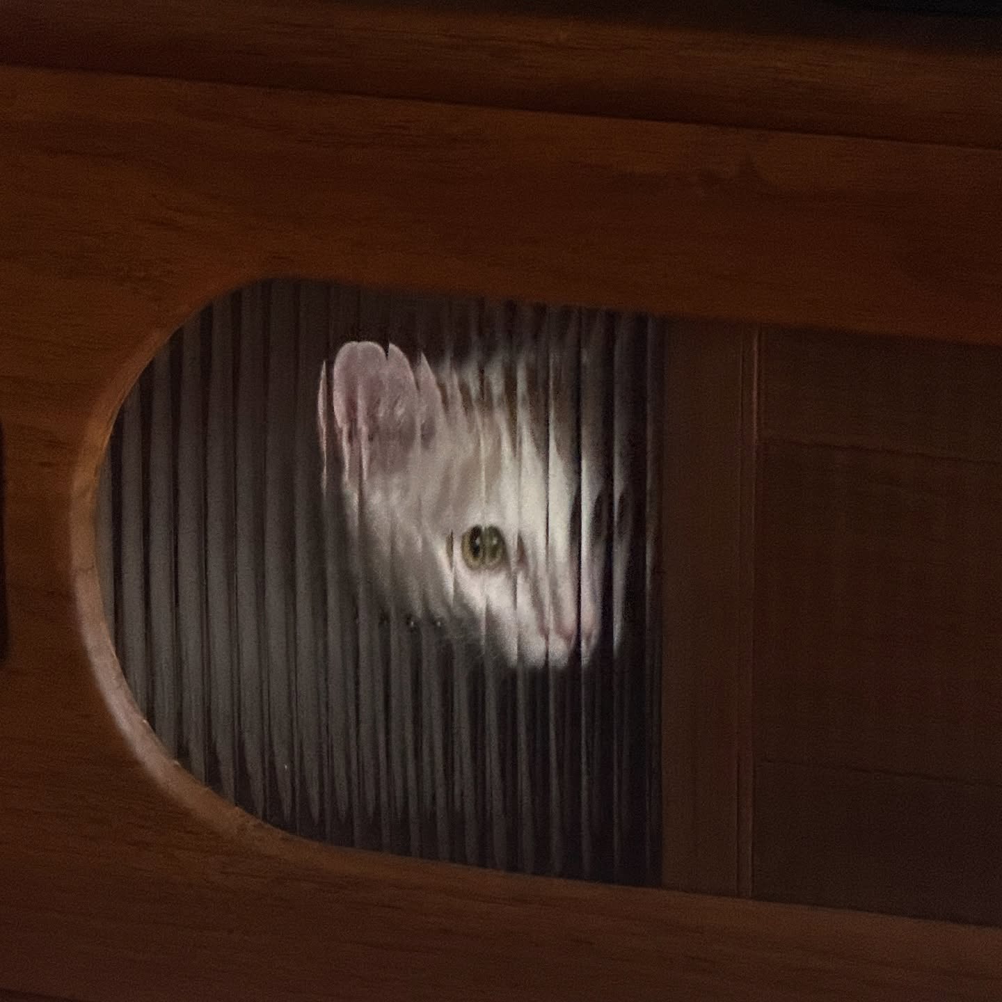 ริว - วชิรวิชญ์ อรัญธนวงศ์