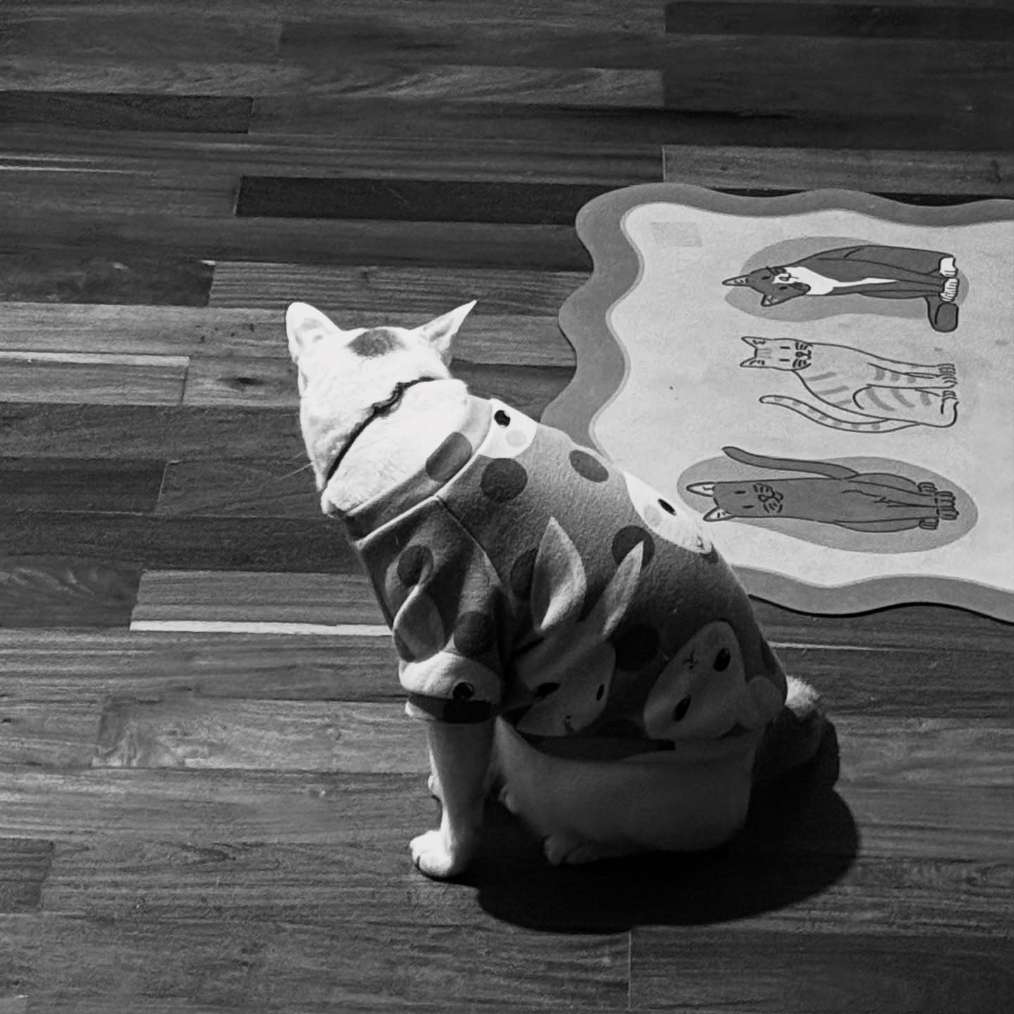 ริว - วชิรวิชญ์ อรัญธนวงศ์