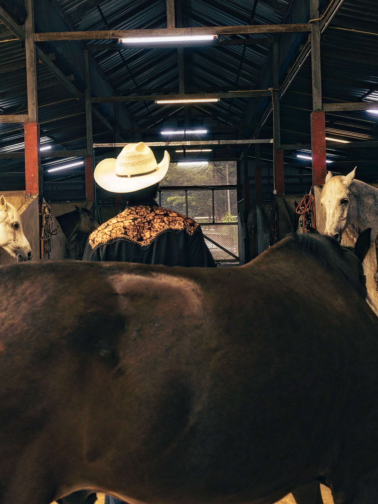 ริว - วชิรวิชญ์ อรัญธนวงศ์