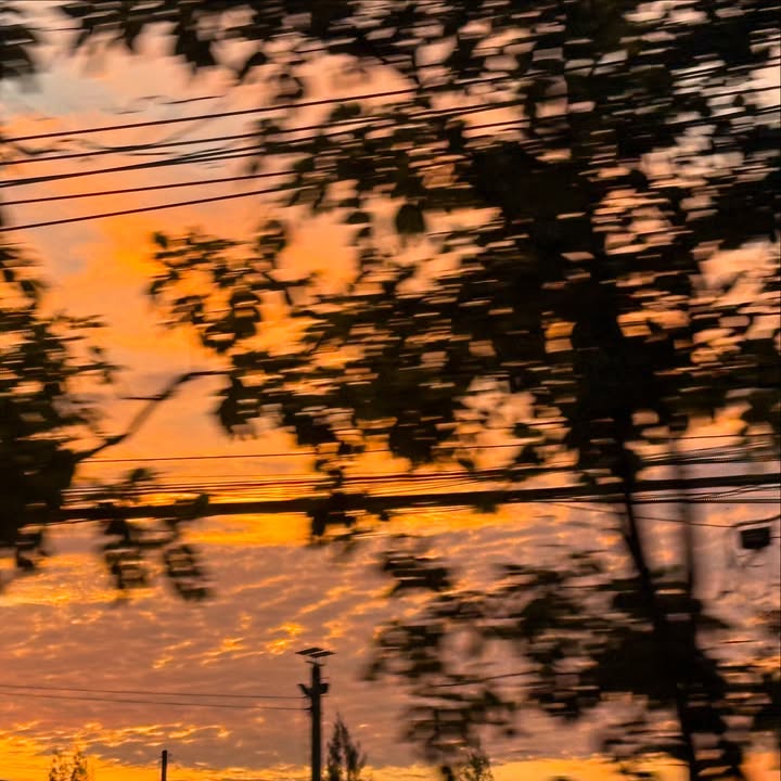 ริว - วชิรวิชญ์ อรัญธนวงศ์