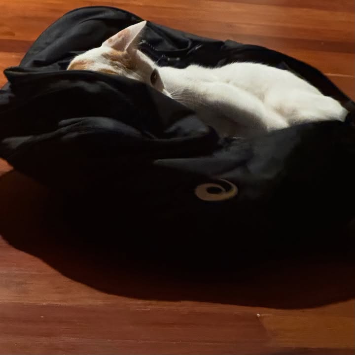 ริว - วชิรวิชญ์ อรัญธนวงศ์