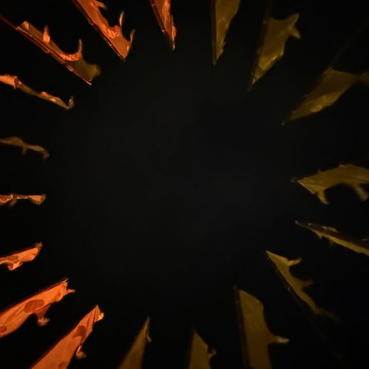 ริว - วชิรวิชญ์ อรัญธนวงศ์