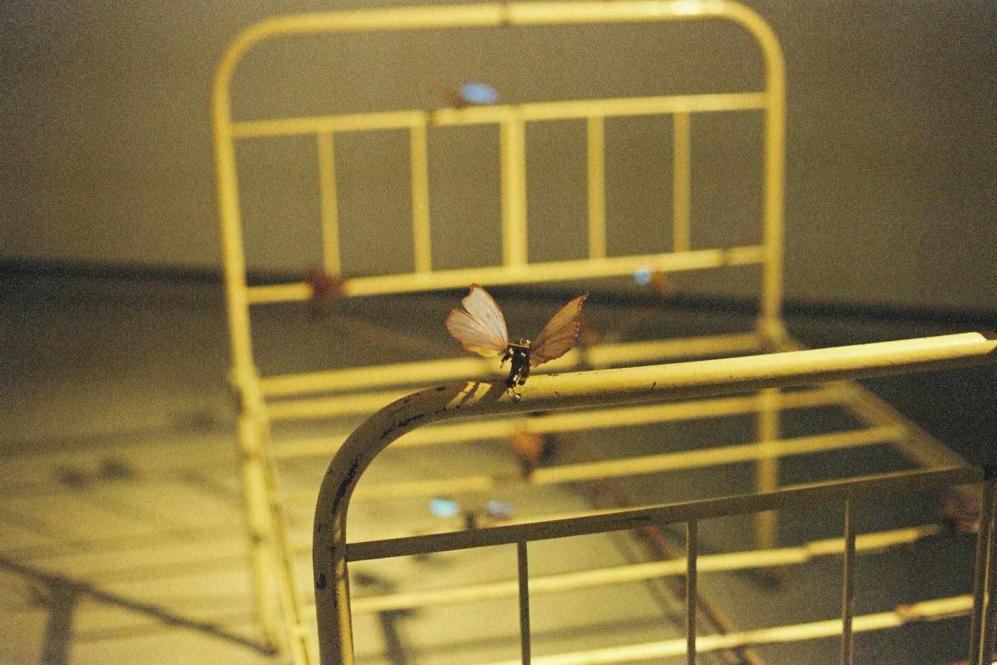 ริว - วชิรวิชญ์ อรัญธนวงศ์