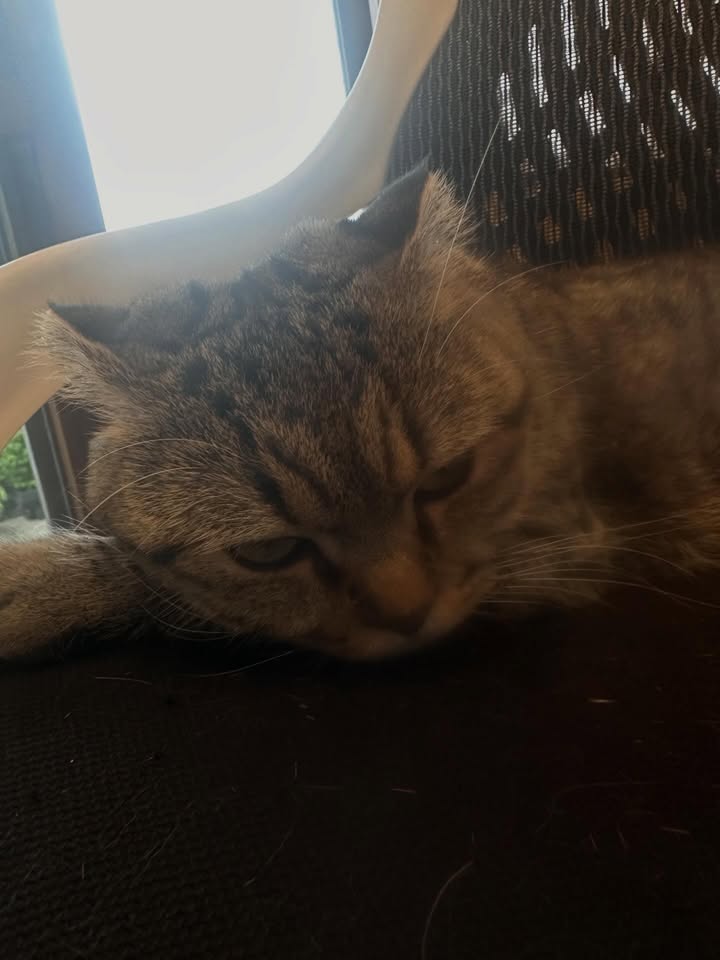 นิว - ชยภัค ตันประยูร