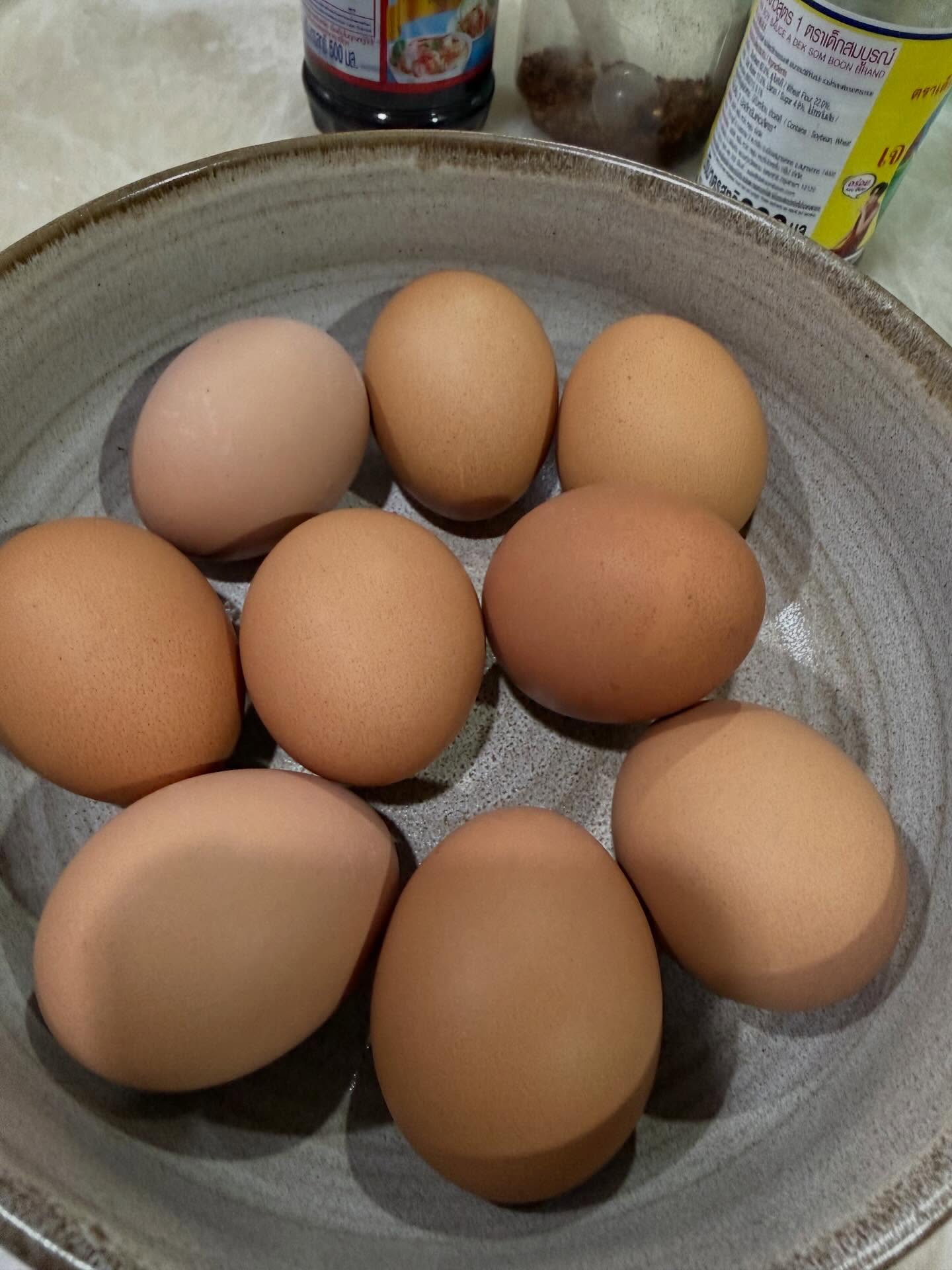 นิว - ชยภัค ตันประยูร