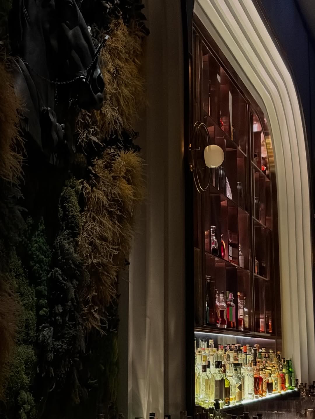 แจ๊ส ชวนชื่น