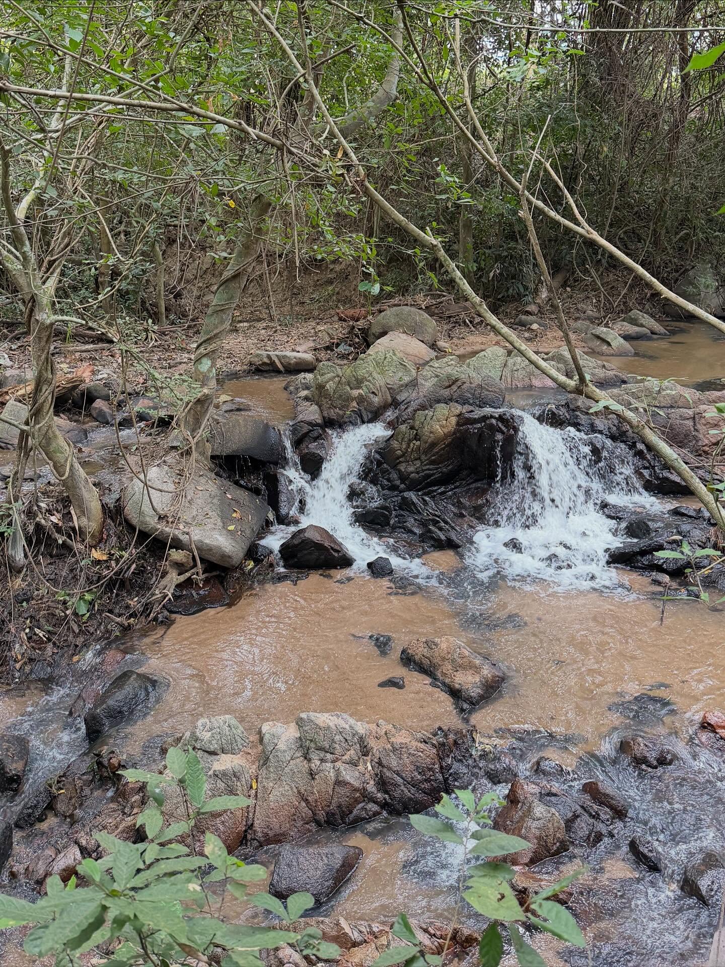 แจมมี่ - ปาณิชดา แสงสุวรรณ