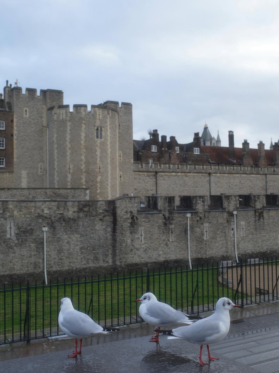 แจมมี่ - ปาณิชดา แสงสุวรรณ