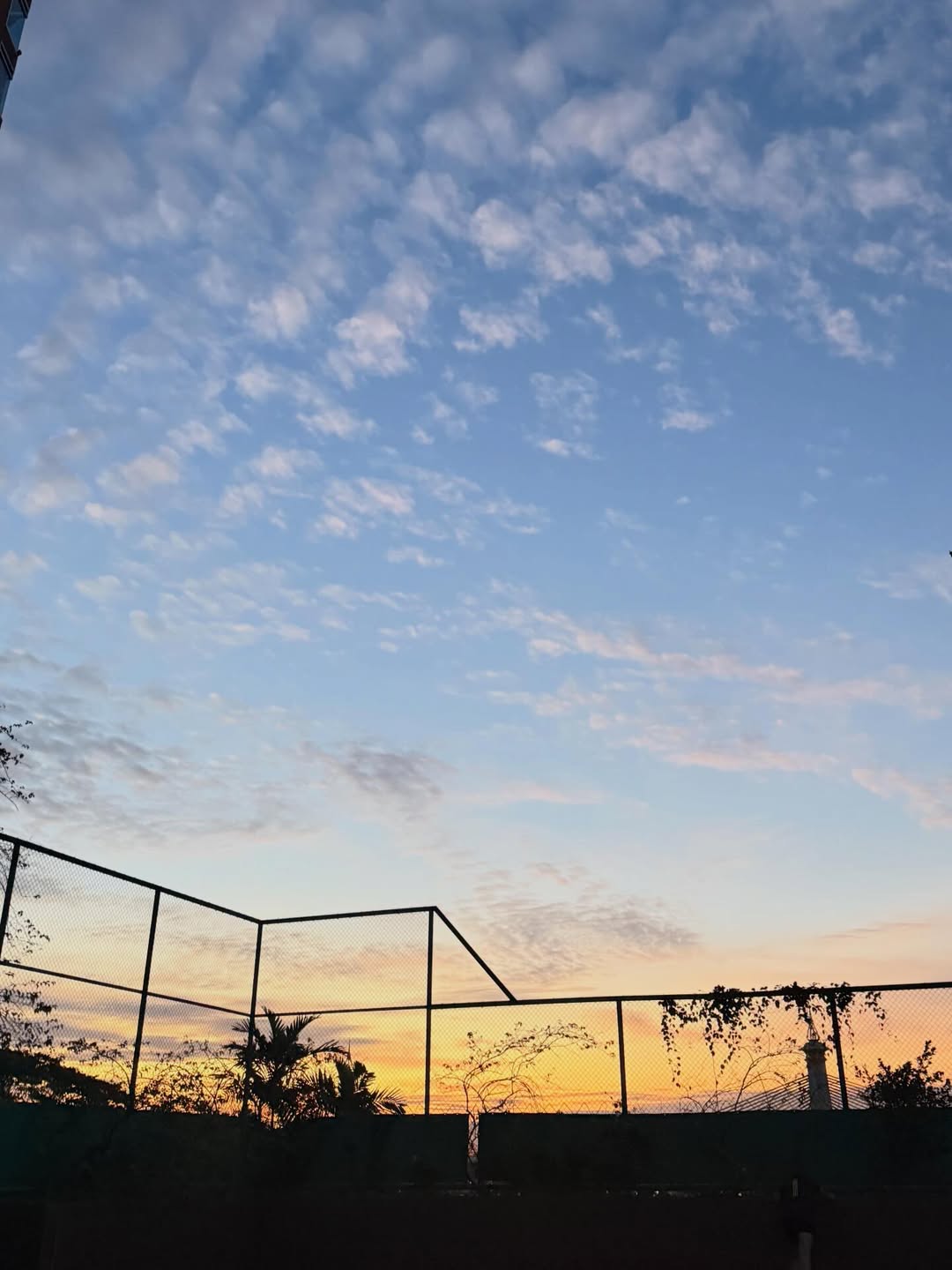 แจมมี่ - ปาณิชดา แสงสุวรรณ