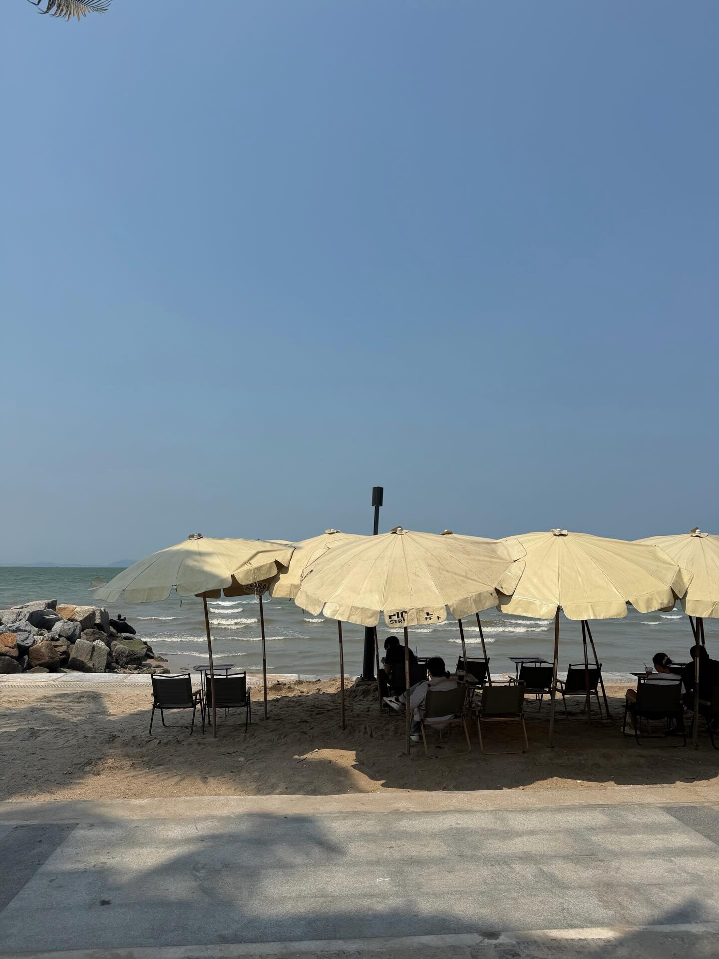 แจมมี่ - ปาณิชดา แสงสุวรรณ