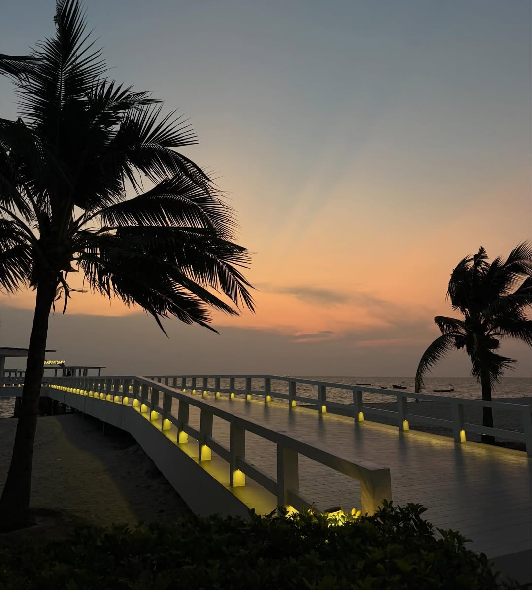 แจมมี่ - ปาณิชดา แสงสุวรรณ