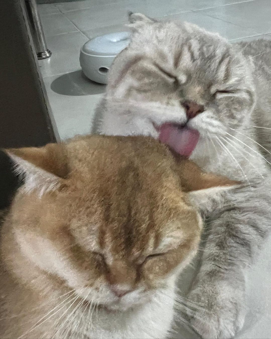 กลัฟ - คณาวุฒิ ไตรพิพัฒนพงษ์