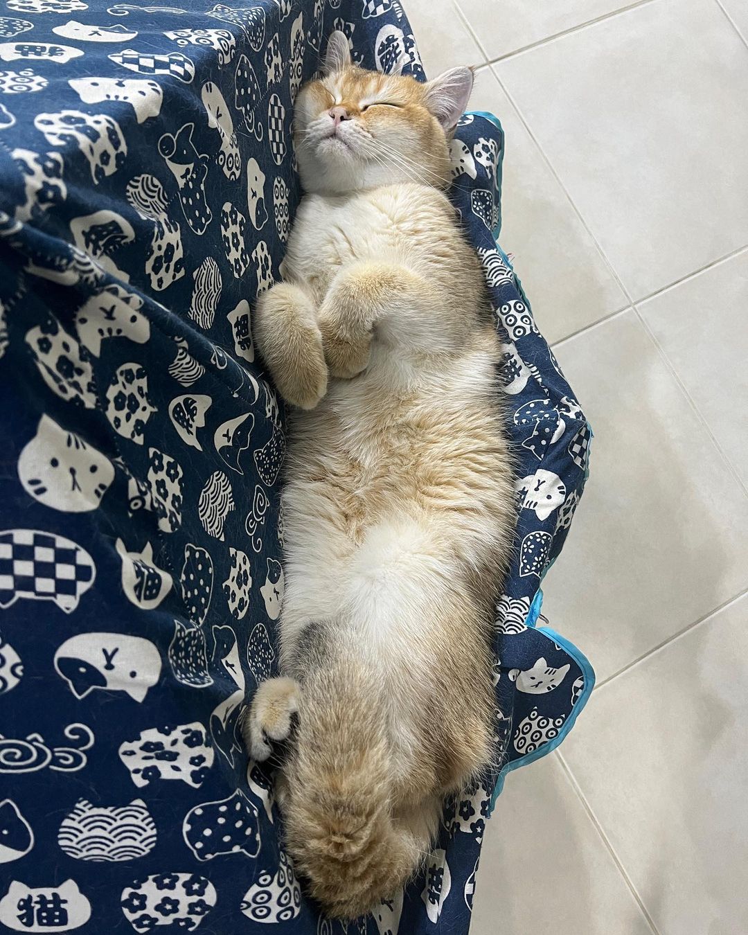 กลัฟ - คณาวุฒิ ไตรพิพัฒนพงษ์