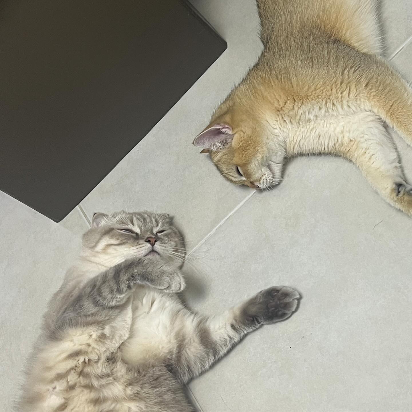 กลัฟ - คณาวุฒิ ไตรพิพัฒนพงษ์