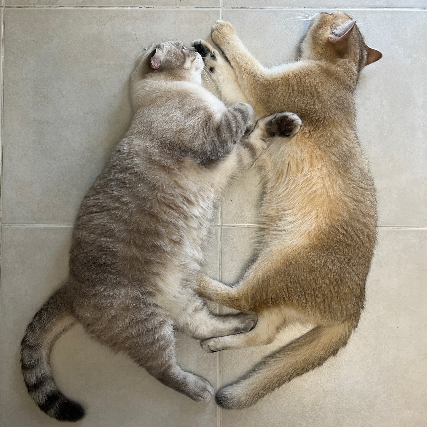 กลัฟ - คณาวุฒิ ไตรพิพัฒนพงษ์