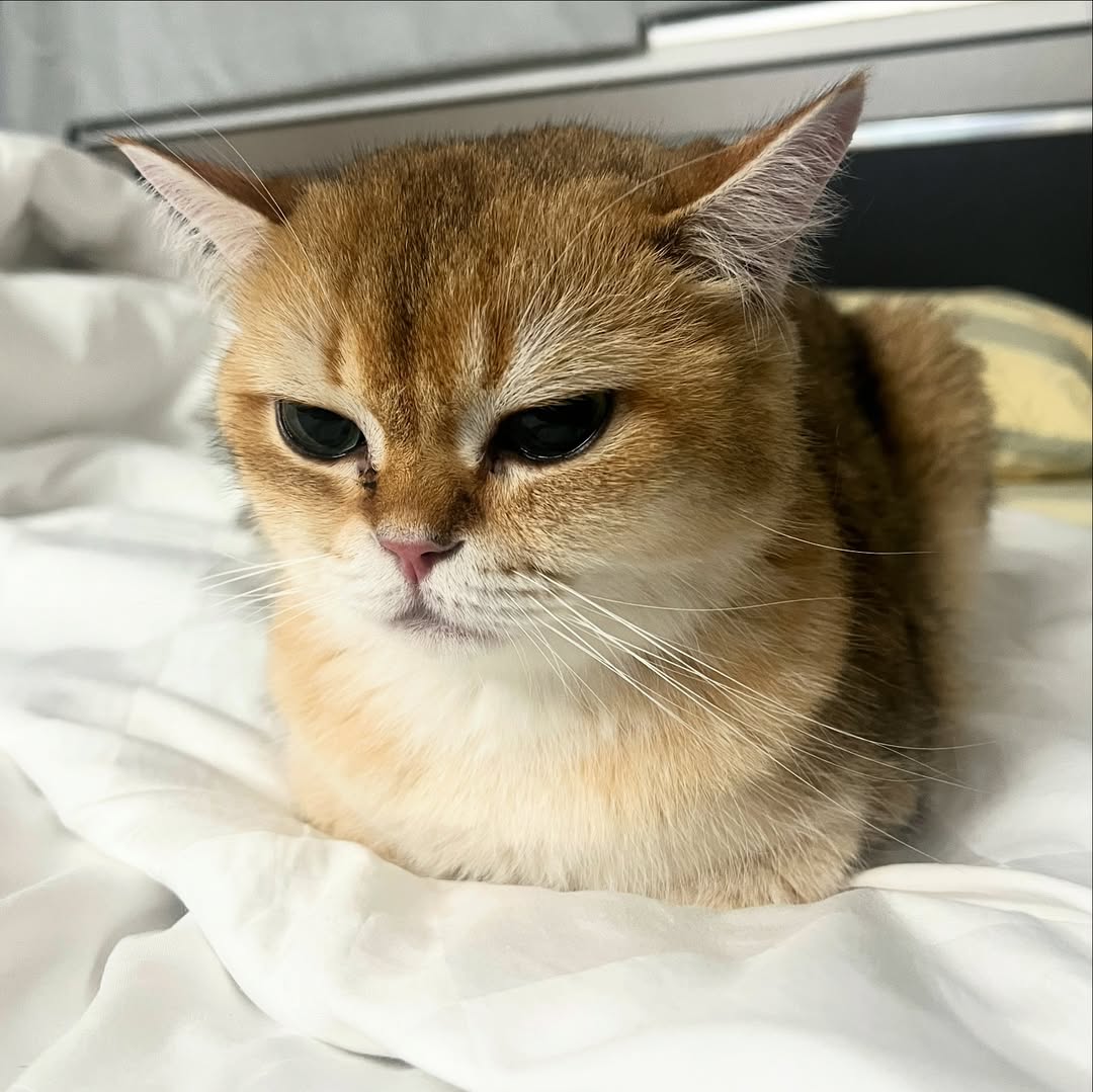 กลัฟ - คณาวุฒิ ไตรพิพัฒนพงษ์
