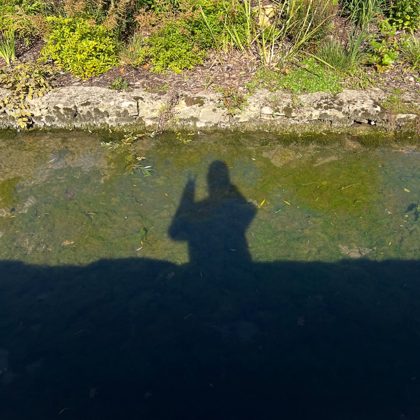 กลัฟ - คณาวุฒิ ไตรพิพัฒนพงษ์