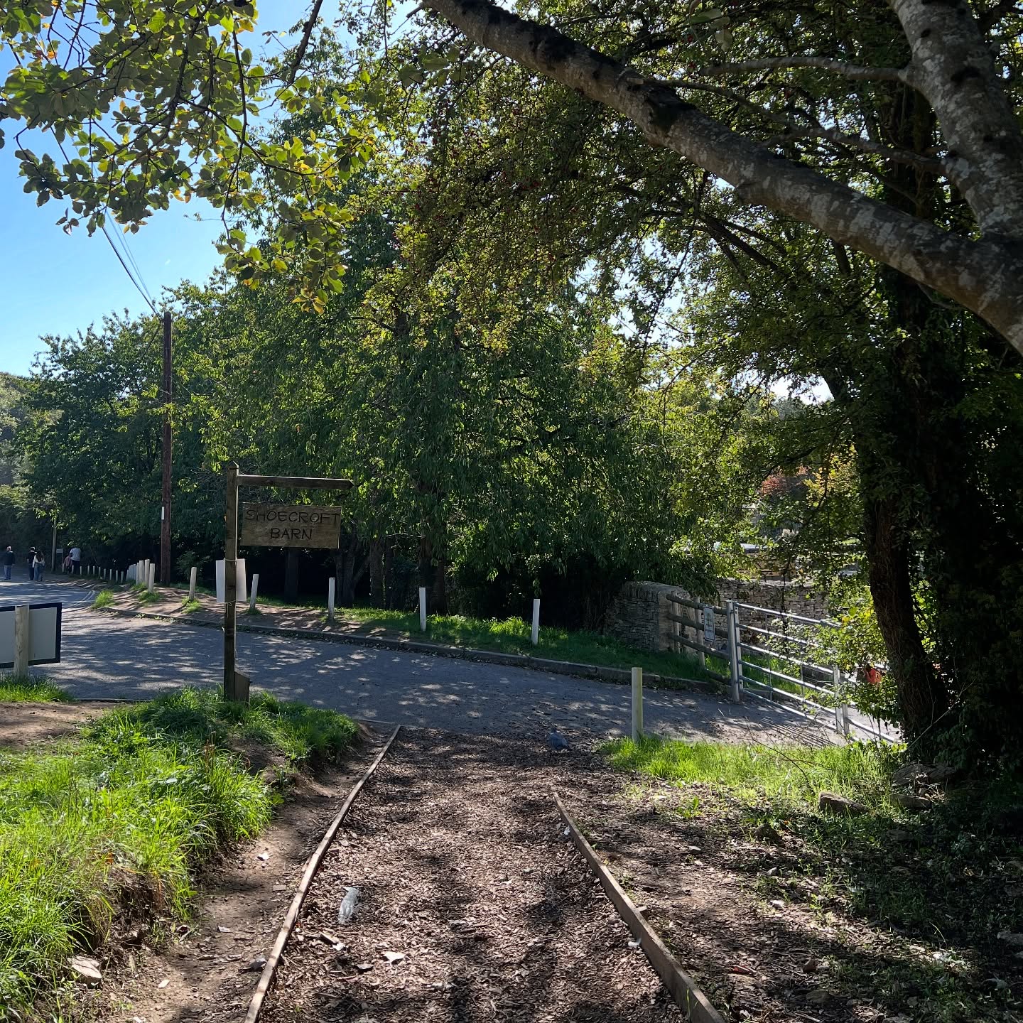 กลัฟ - คณาวุฒิ ไตรพิพัฒนพงษ์