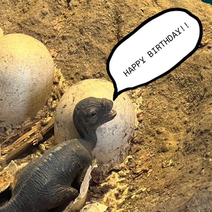 กลัฟ - คณาวุฒิ ไตรพิพัฒนพงษ์