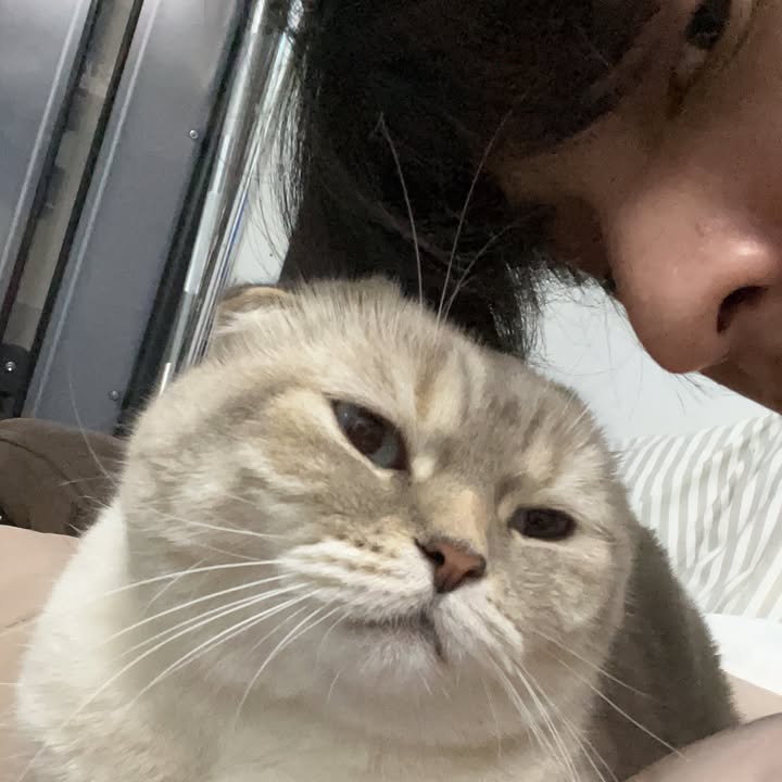 กลัฟ - คณาวุฒิ ไตรพิพัฒนพงษ์