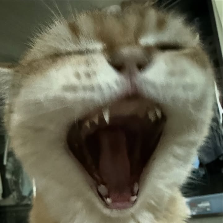 กลัฟ - คณาวุฒิ ไตรพิพัฒนพงษ์