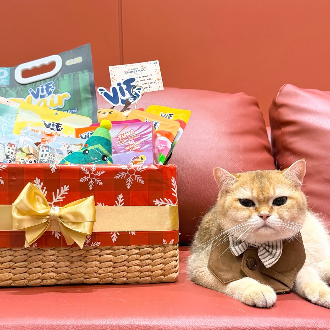 กลัฟ - คณาวุฒิ ไตรพิพัฒนพงษ์