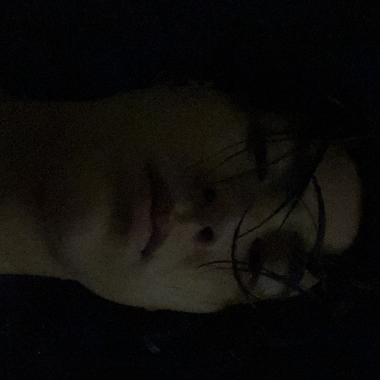 กลัฟ - คณาวุฒิ ไตรพิพัฒนพงษ์