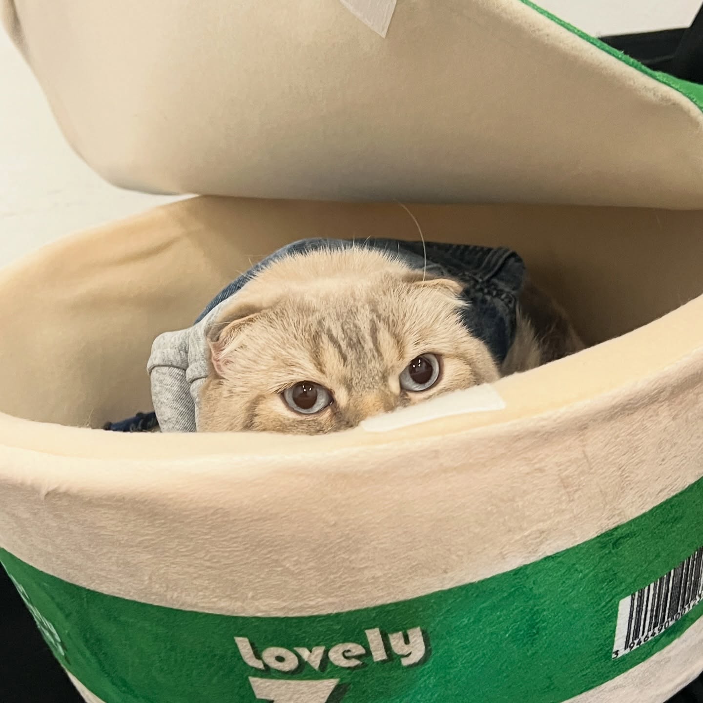 กลัฟ - คณาวุฒิ ไตรพิพัฒนพงษ์