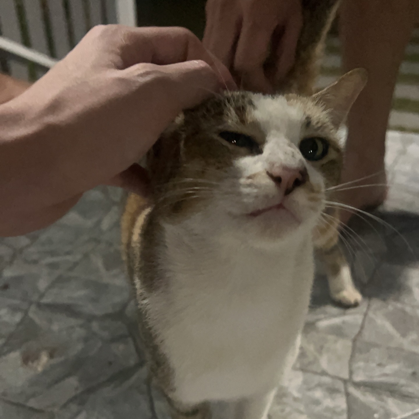 กลัฟ - คณาวุฒิ ไตรพิพัฒนพงษ์